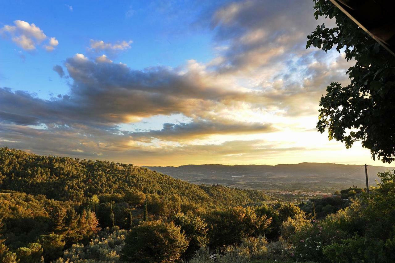 Agriturismo Borgo Mocale Castelfranco di Sopra Exteriér fotografie